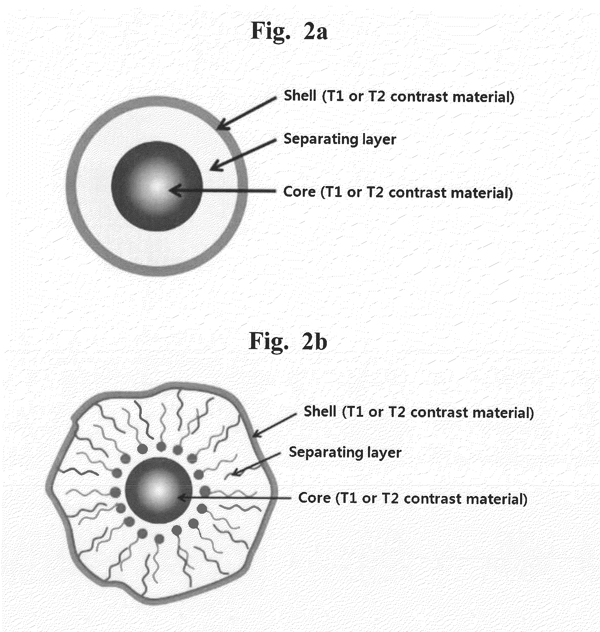 T1-T2 Dual Modal MRI Contrast Agents