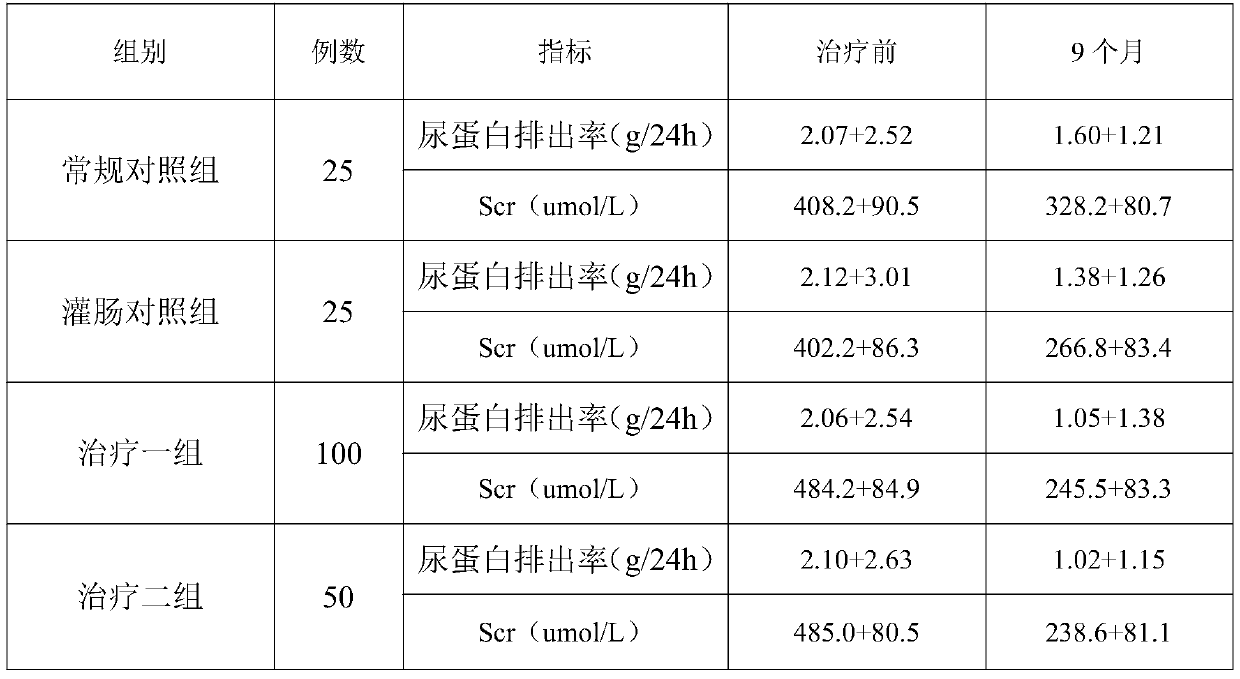 Traditional Chinese medicine suppository for treating chronic renal failure