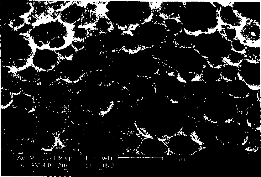 Size defining method for preparing intermediate phase asphalt base foam carbon