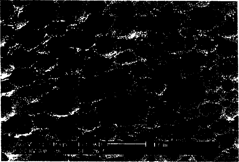 Size defining method for preparing intermediate phase asphalt base foam carbon