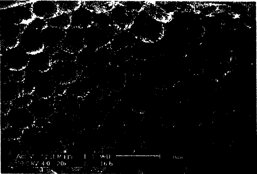 Size defining method for preparing intermediate phase asphalt base foam carbon