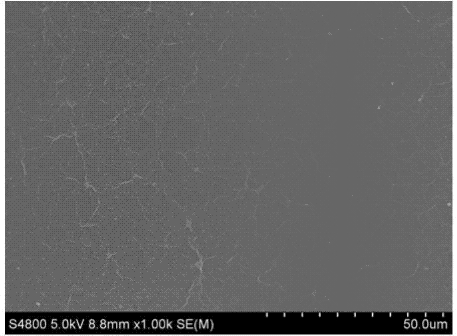 Preparation method of graphene transparent conductive film