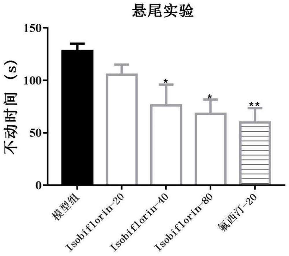 Application of isobiflorin or its pharmaceutically acceptable salt in preparation of antidepressant pharmaceutical composition