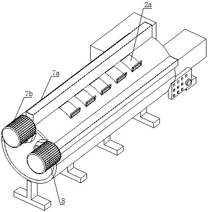 A storage rack for umbilical cord mesenchymal stem cells