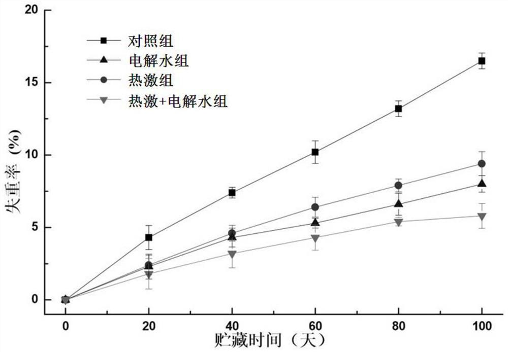 A dynamic controlled atmosphere storage method based on heat shock and electrolytic water treatment to delay softening and dehydration of fresh jujube