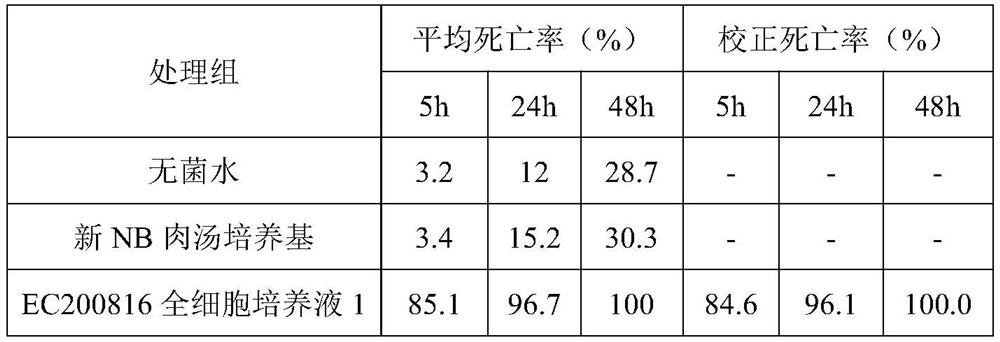 Indole-producing Chryseobacterium sp. And application thereof