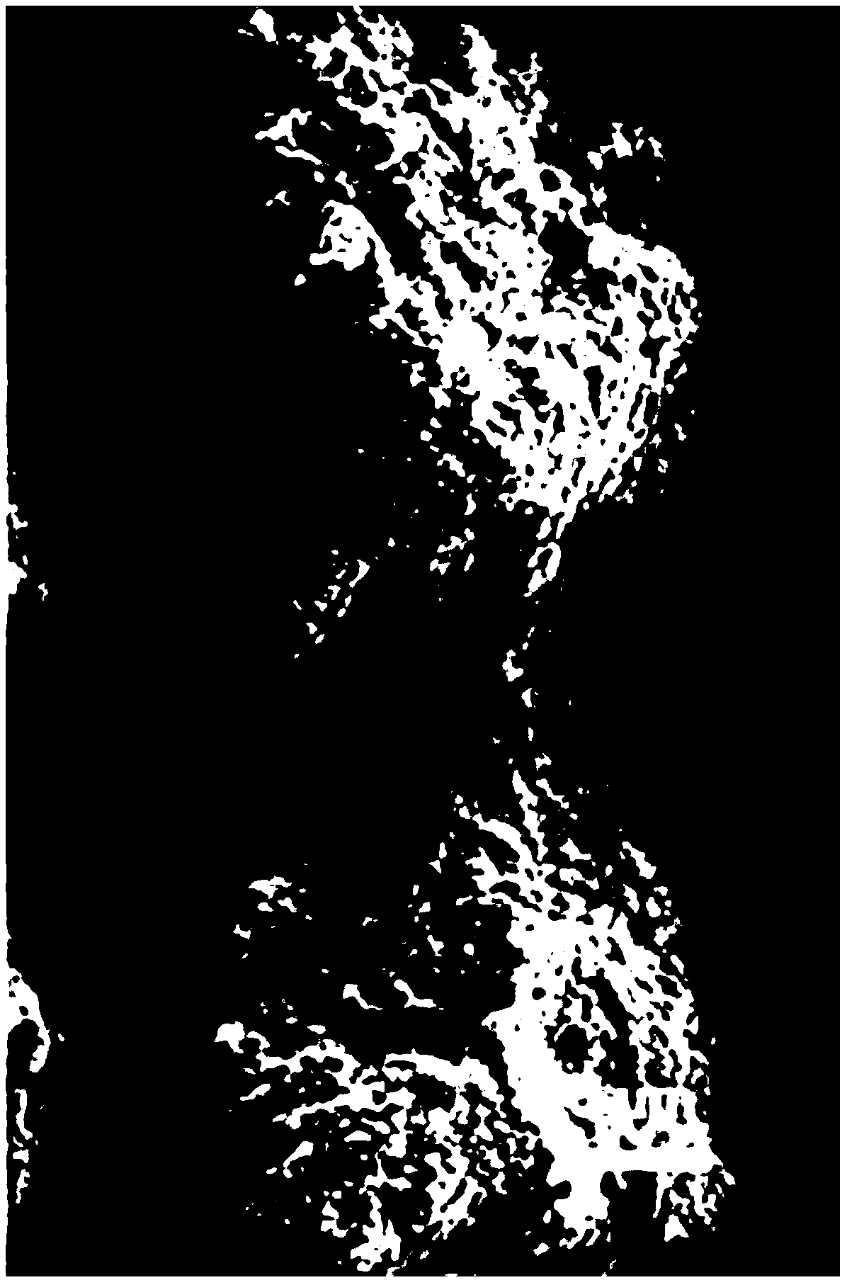 Highly uniform micro-cone array structure preparation method