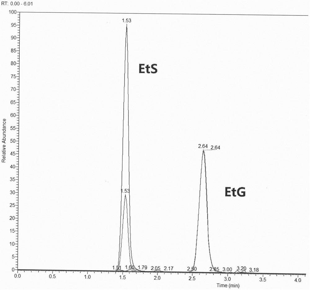 Method for detecting ethyl sulfate and ethyl glucuronate in human urine