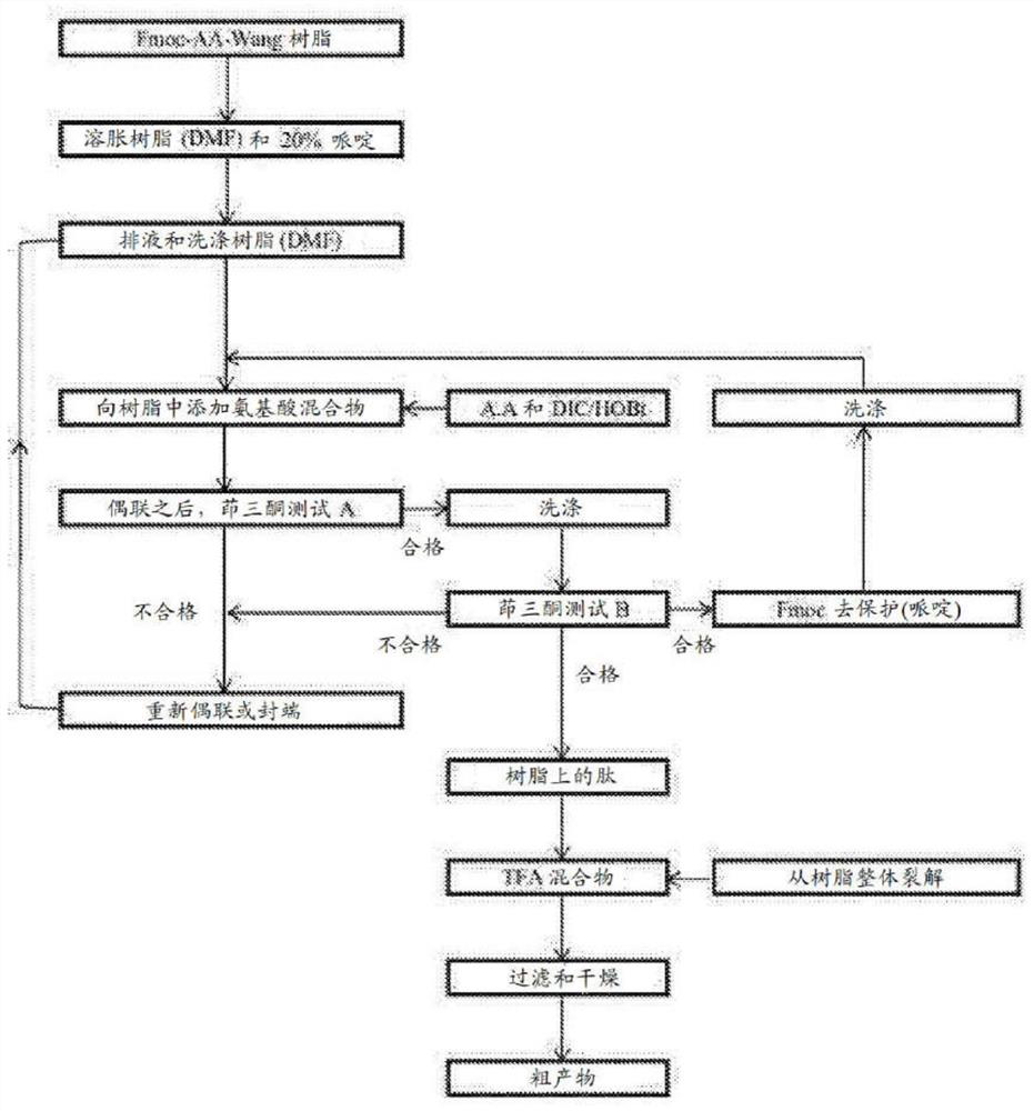 Peptides and pharmaceutical compositions for treating eye diseases