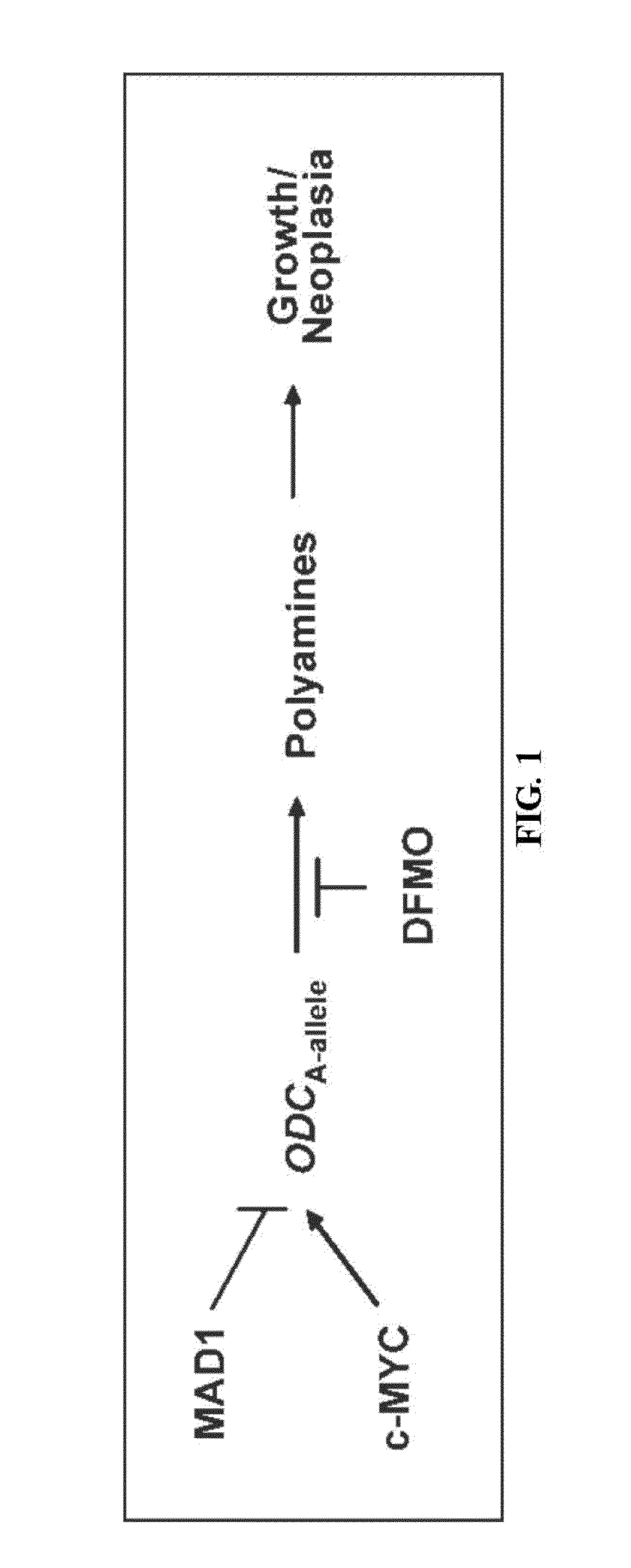 Cancer prevention and treatment methods based on dietary polyamine content