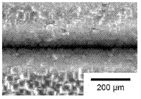 Laser-water jet composite micromachining process and device