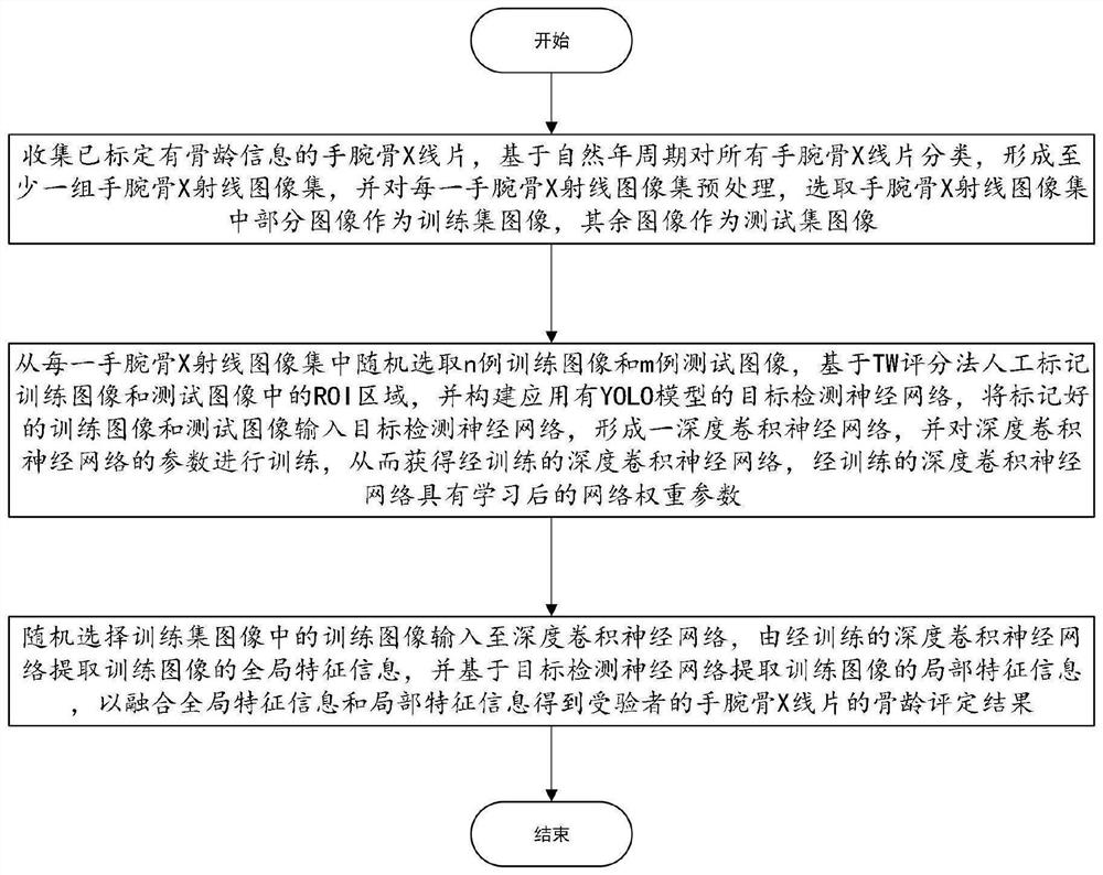 Bone age evaluation method and device based on deep convolutional neural network and feature fusion, and computer readable storage medium