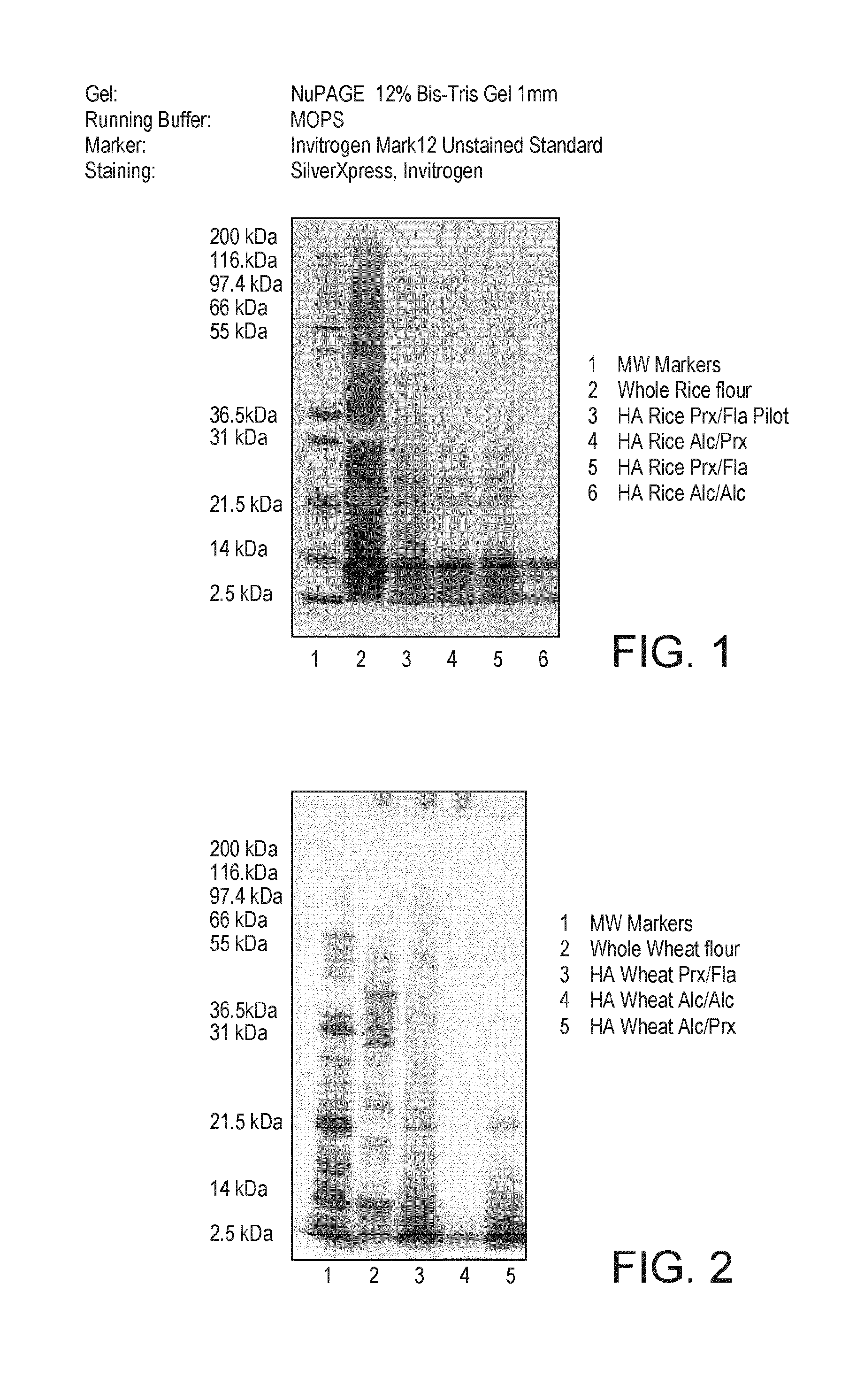 Use of a hypoallergenic cereal composition for inducing specific oral tolerance