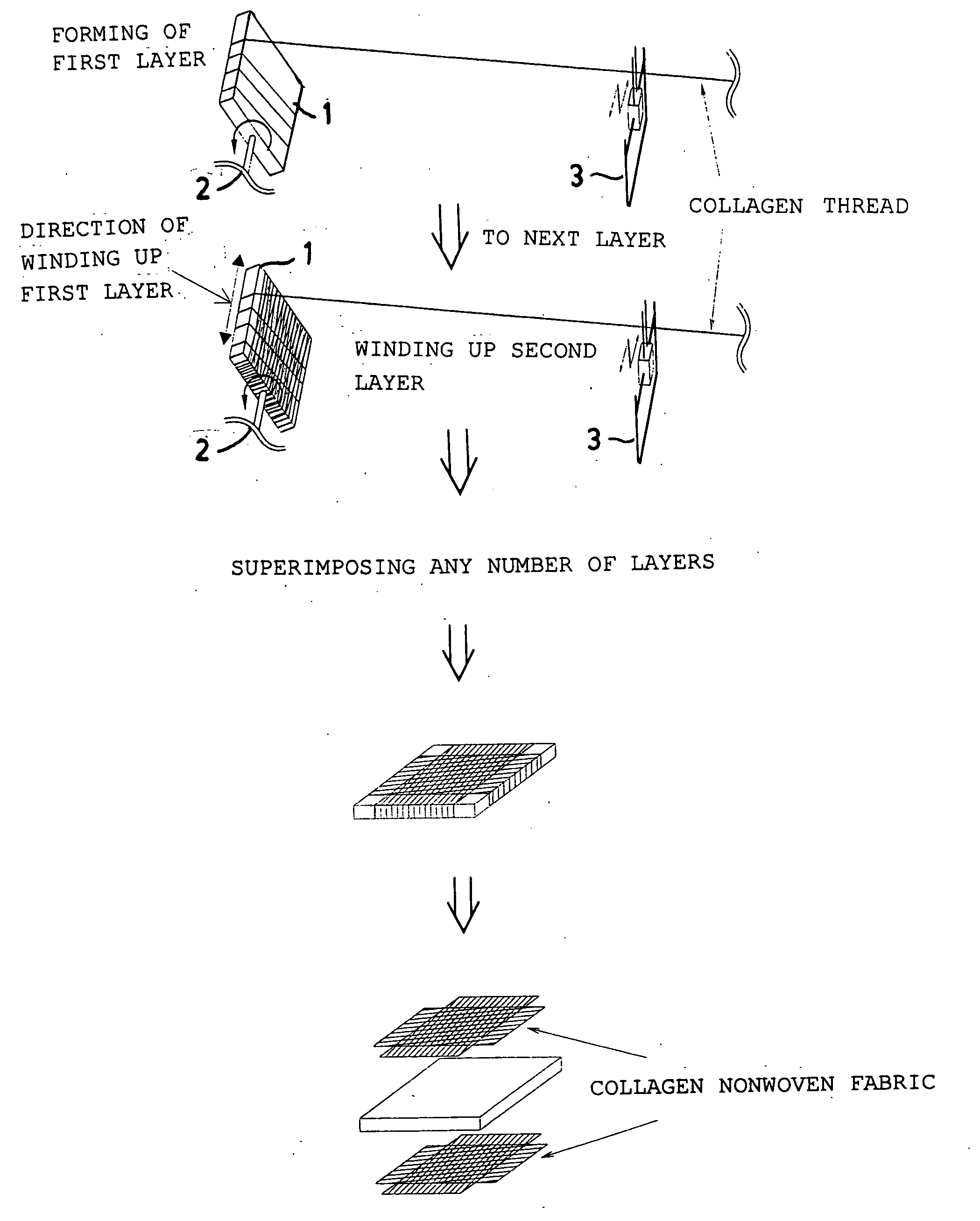 Biodegradable substrate, prosthetic material for tissue regeneration, and cultured tissue