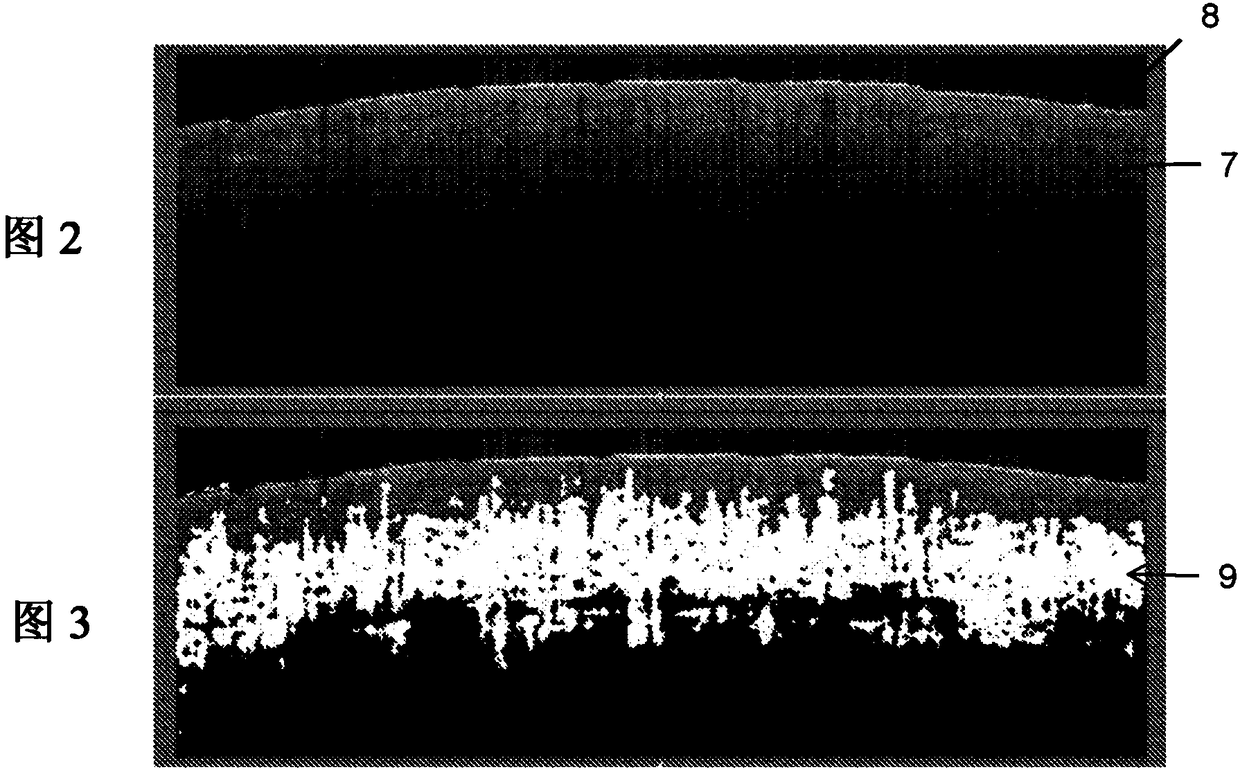 Processing optical coherency tomography scans