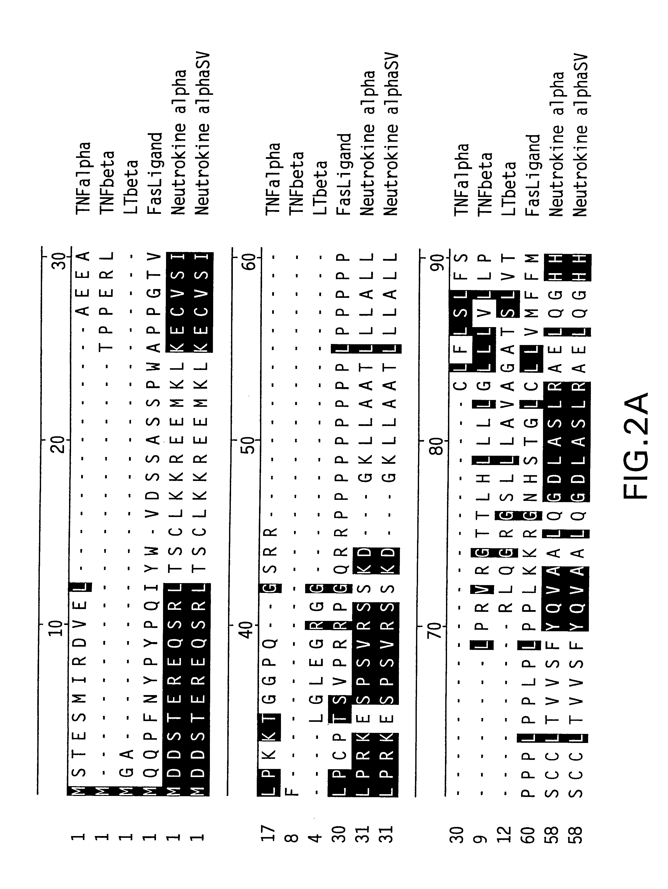 Antibodies to neutrokine-alpha