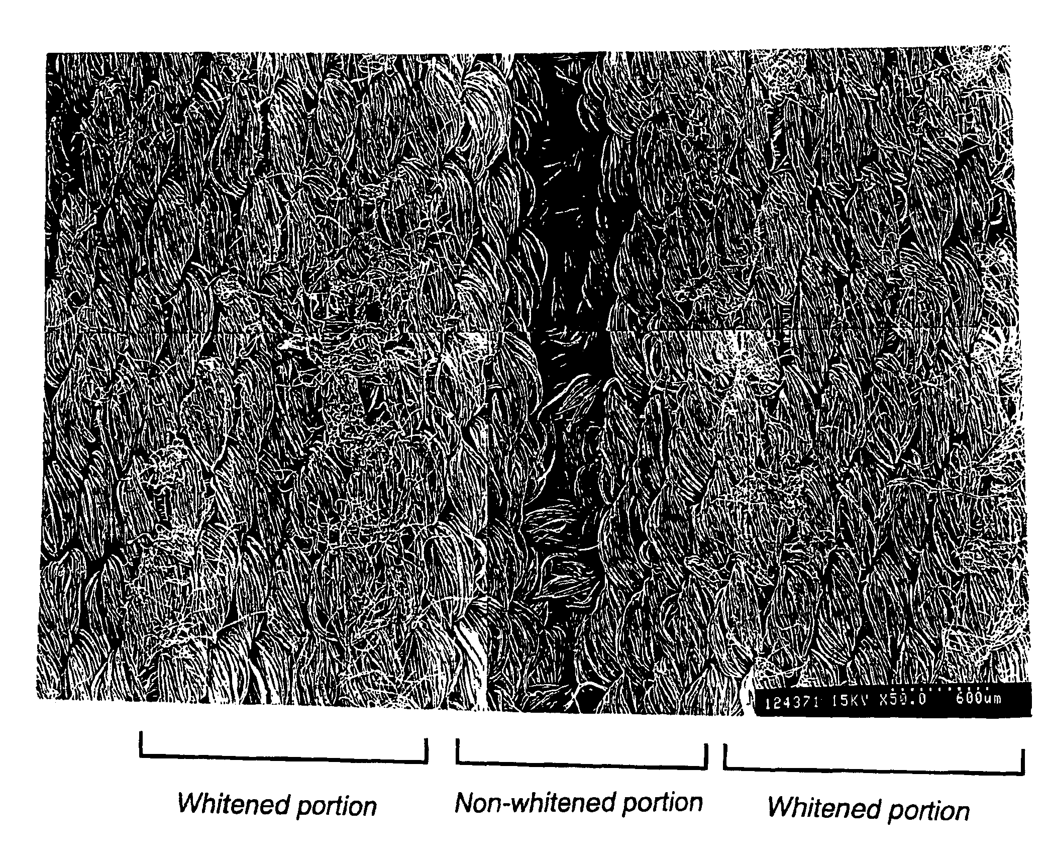 Denim-like article of clothing and method of producing the same