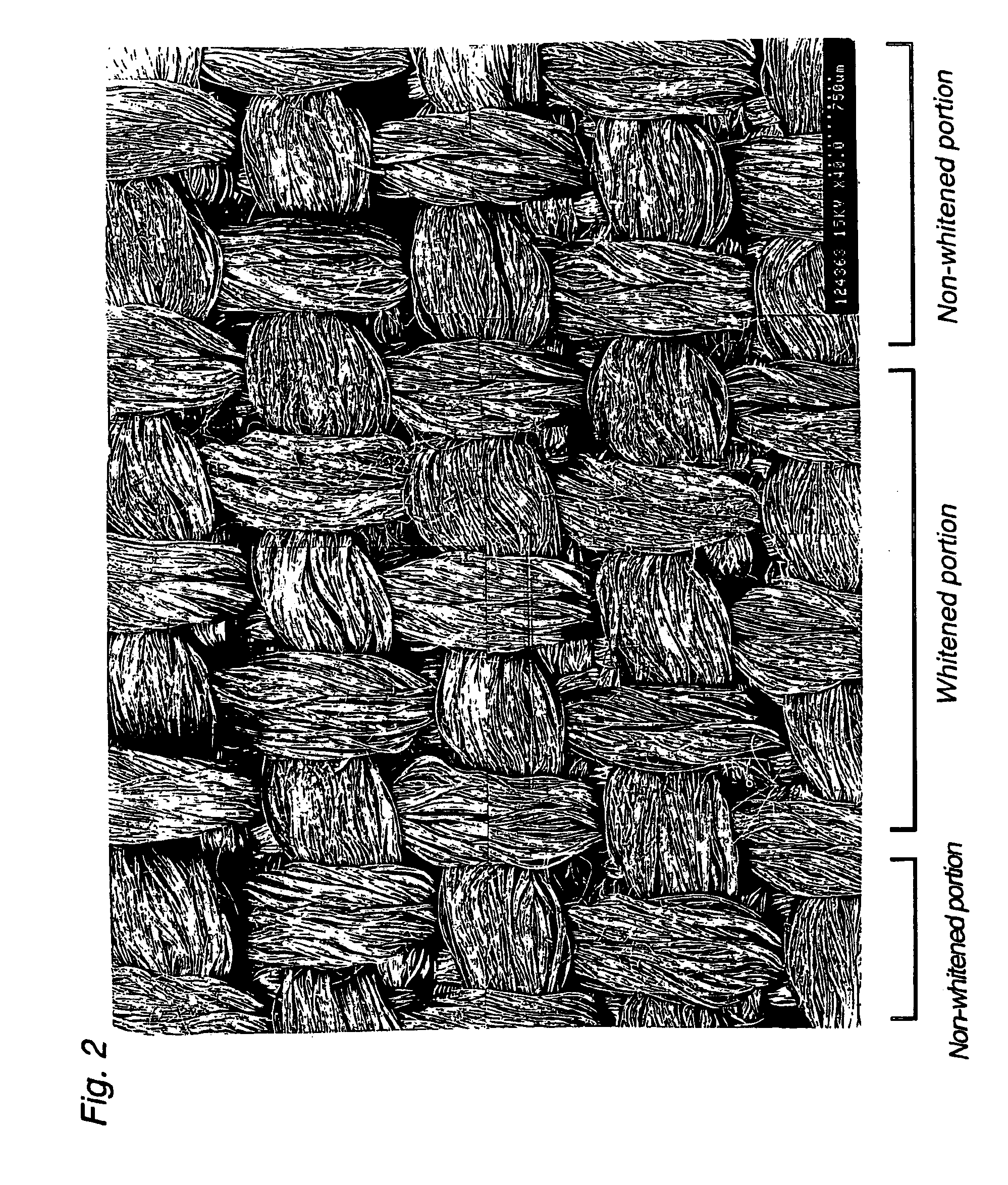 Denim-like article of clothing and method of producing the same