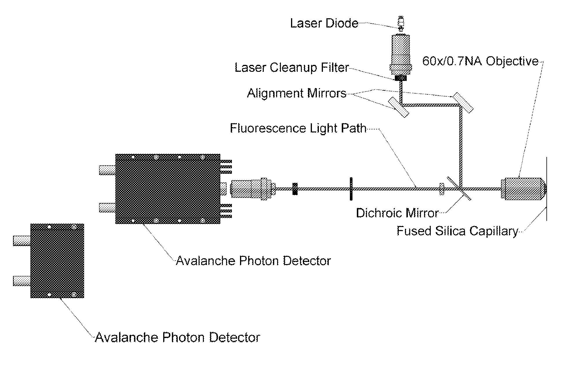 Single molecule assays