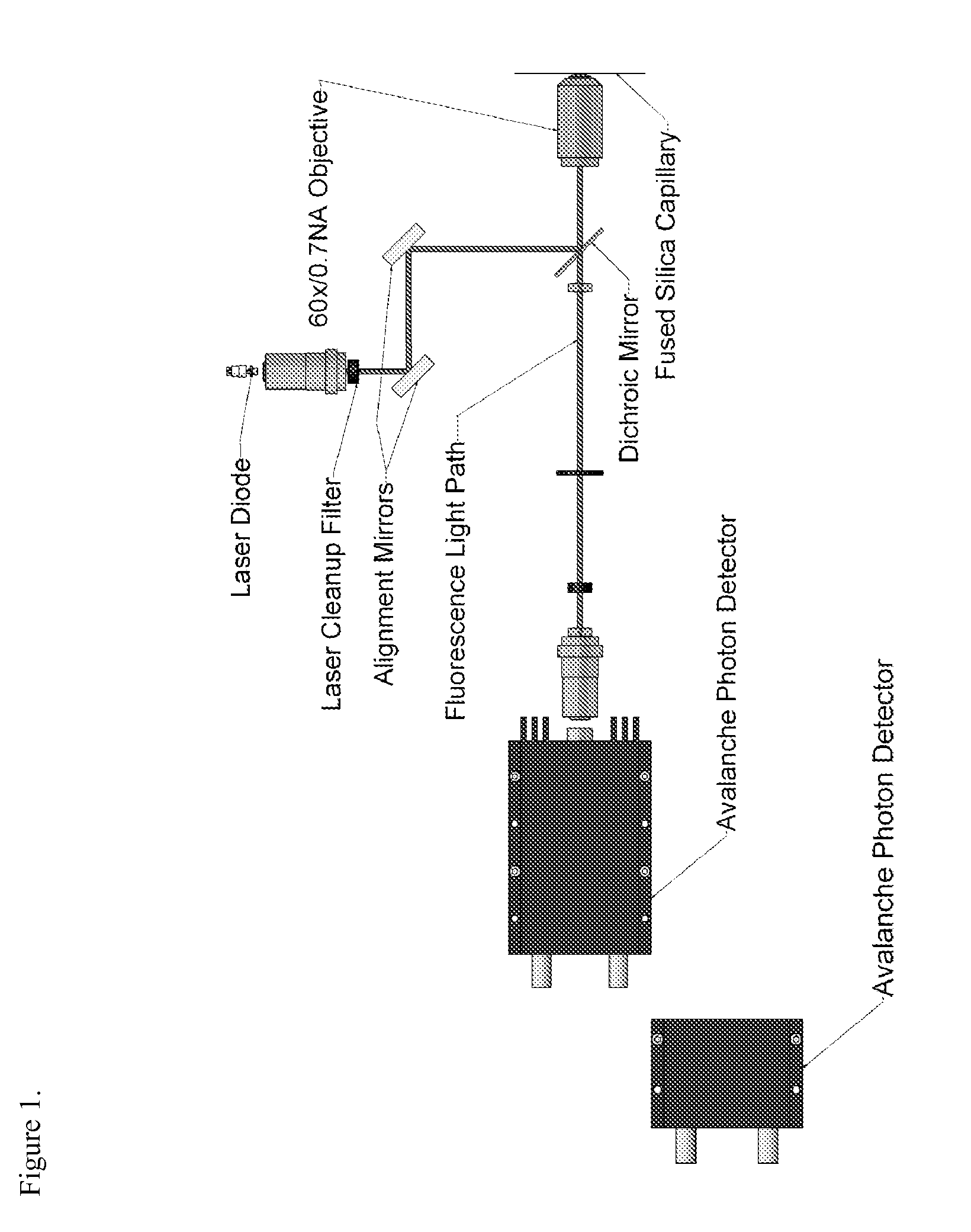 Single molecule assays