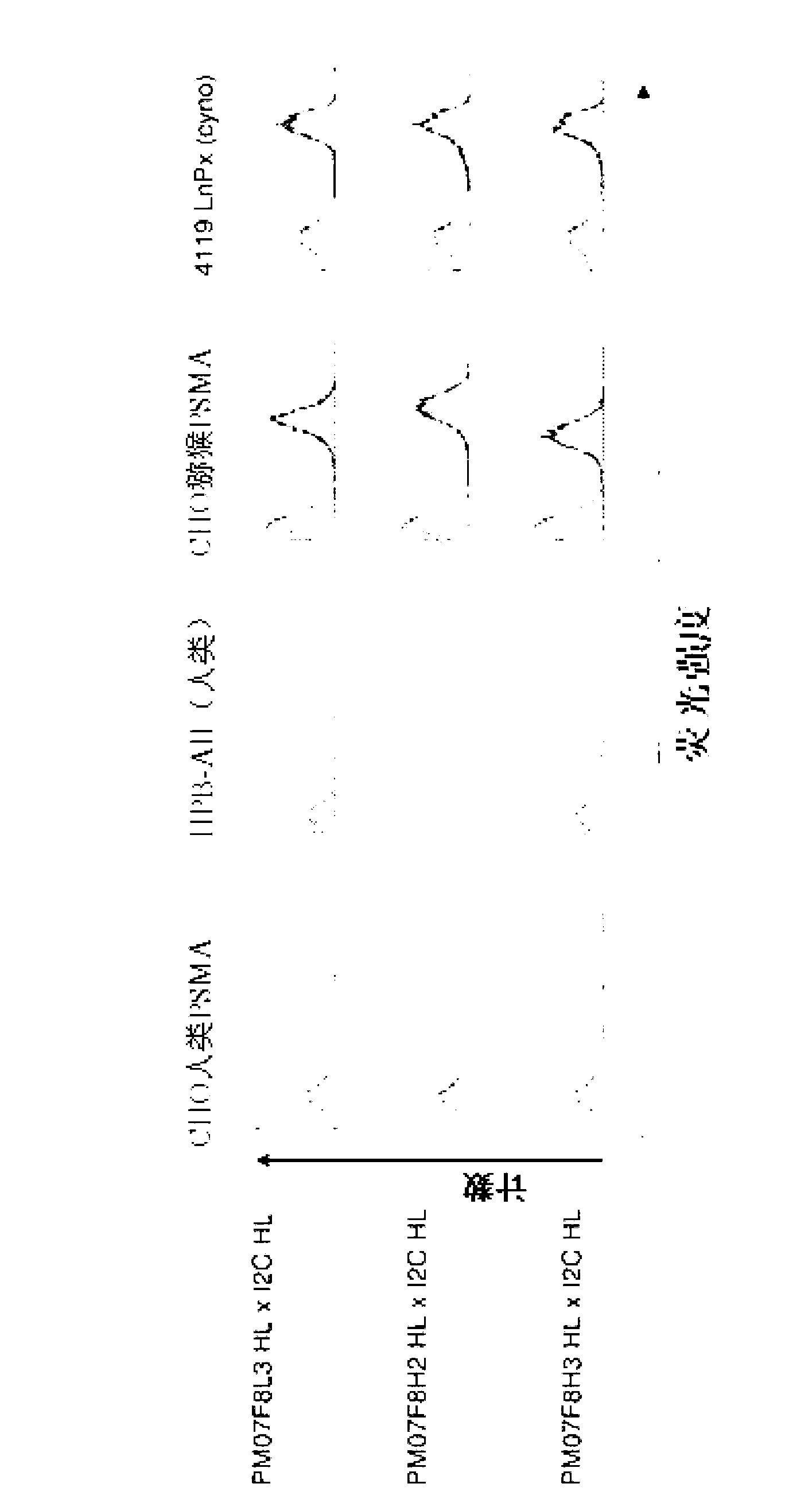 Cross-species-specific psmaxcd3 bispecific single chain antibody