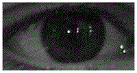 Nonlinear enhancing method for low-quality natural light iris images