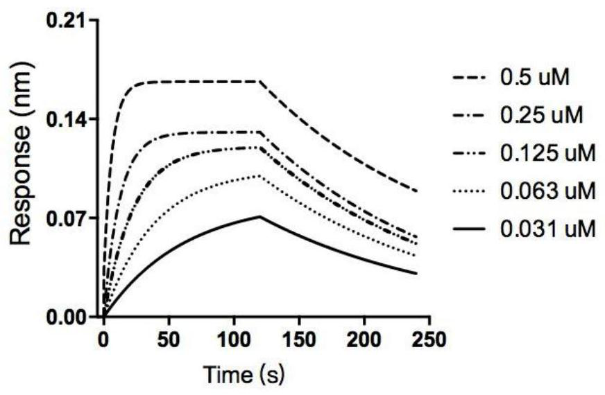 Compound cyd19 or pharmaceutically acceptable salt as snail inhibitor and its preparation method, pharmaceutical composition and use