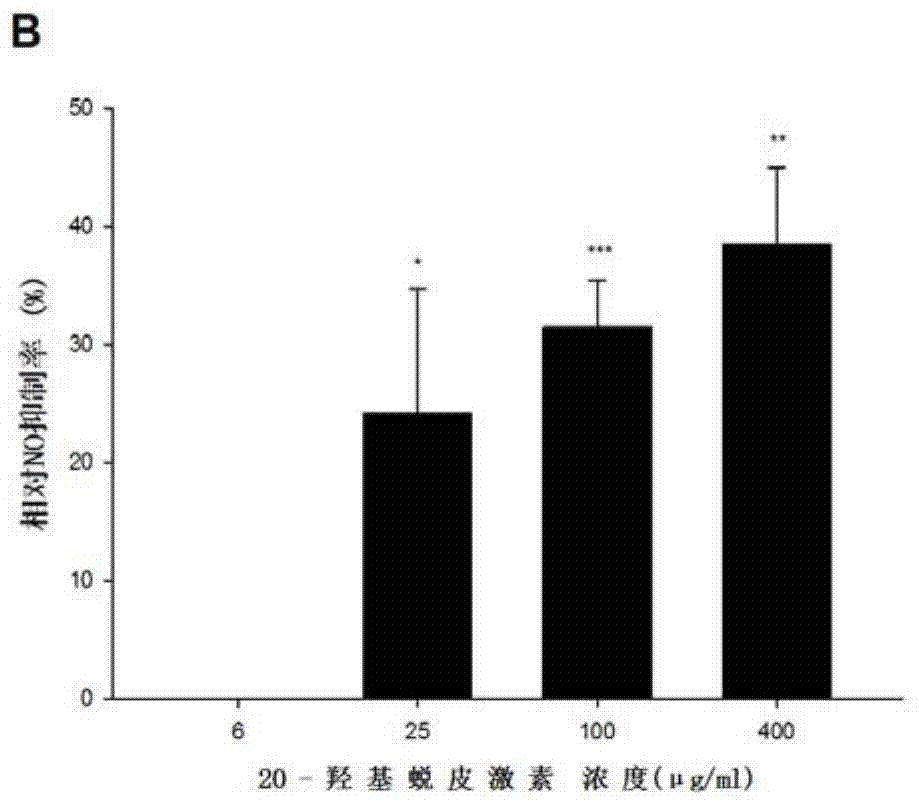 Preparation and application of anti-inflammatory effective part of rhaponticum uniflorum