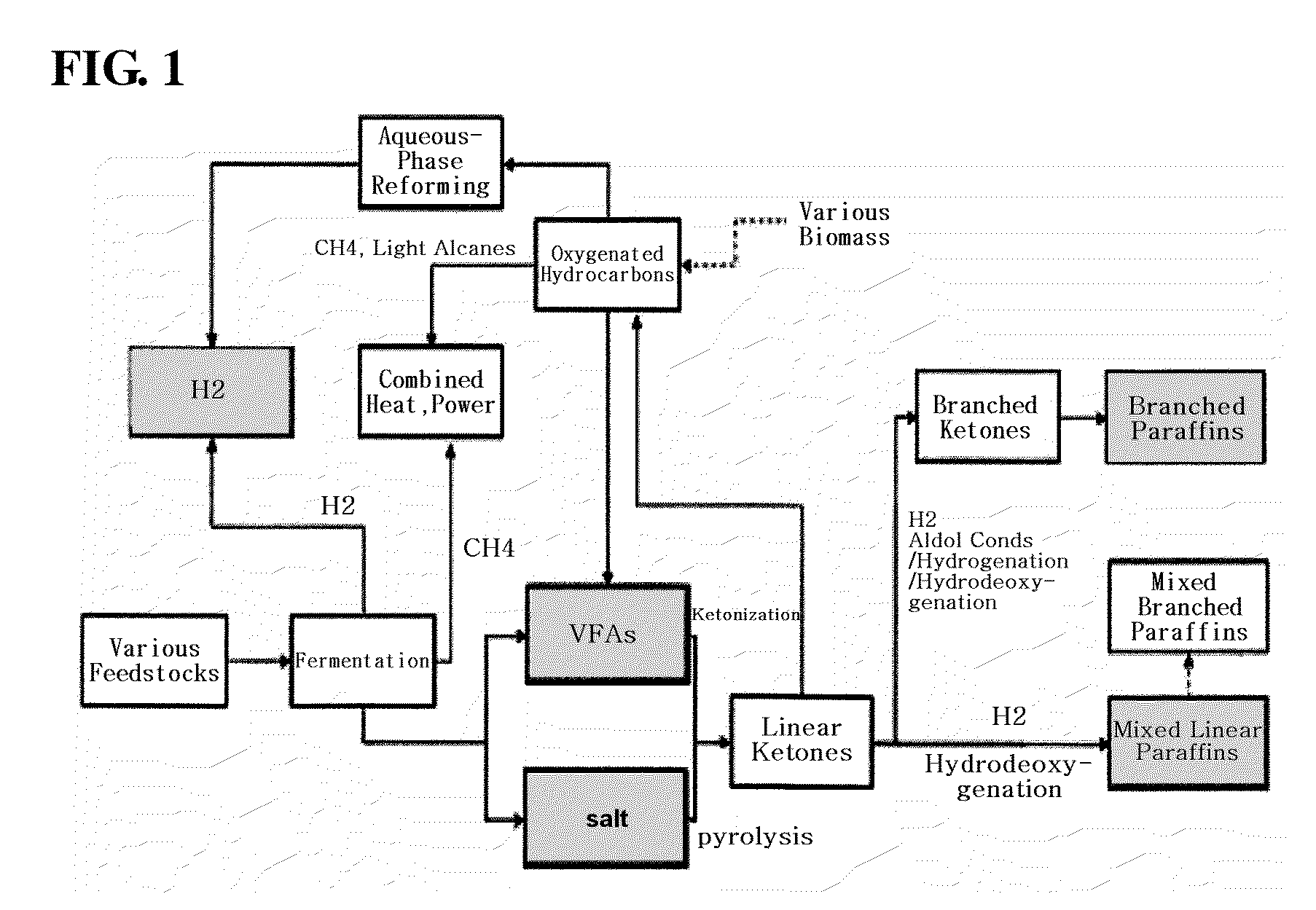 Preparation method of transportation fuel or lubricating base oil using biomass