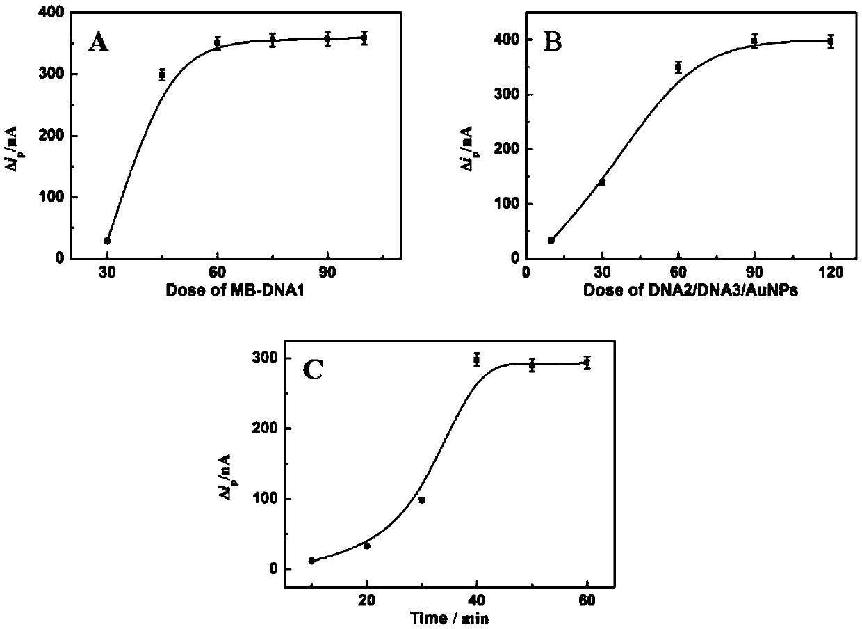 Method for determining ATP content on basis of magnetic bead separation and DNA marker gold nanoparticle probe