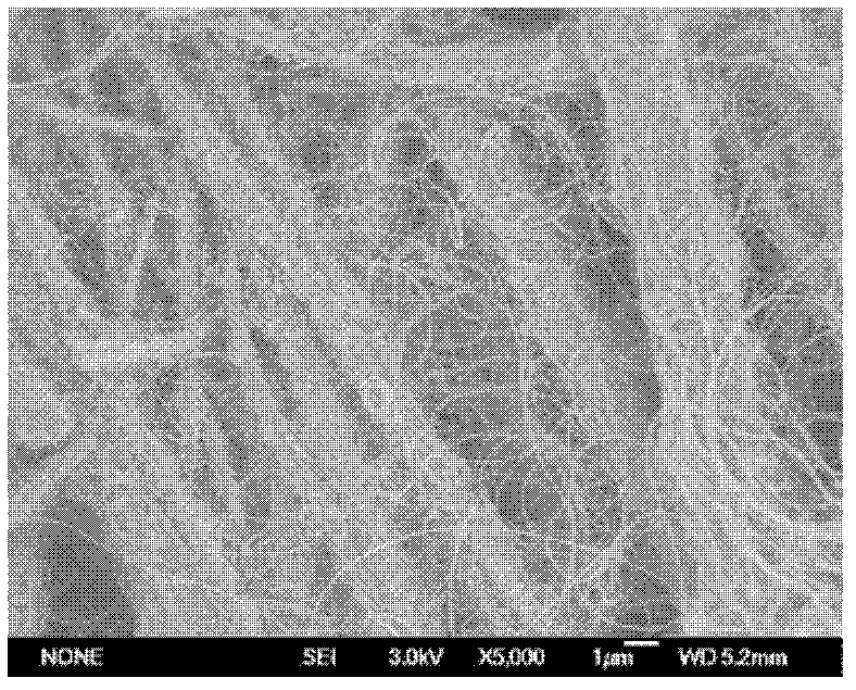 Air filter material based on carbon nano tube and preparation method thereof