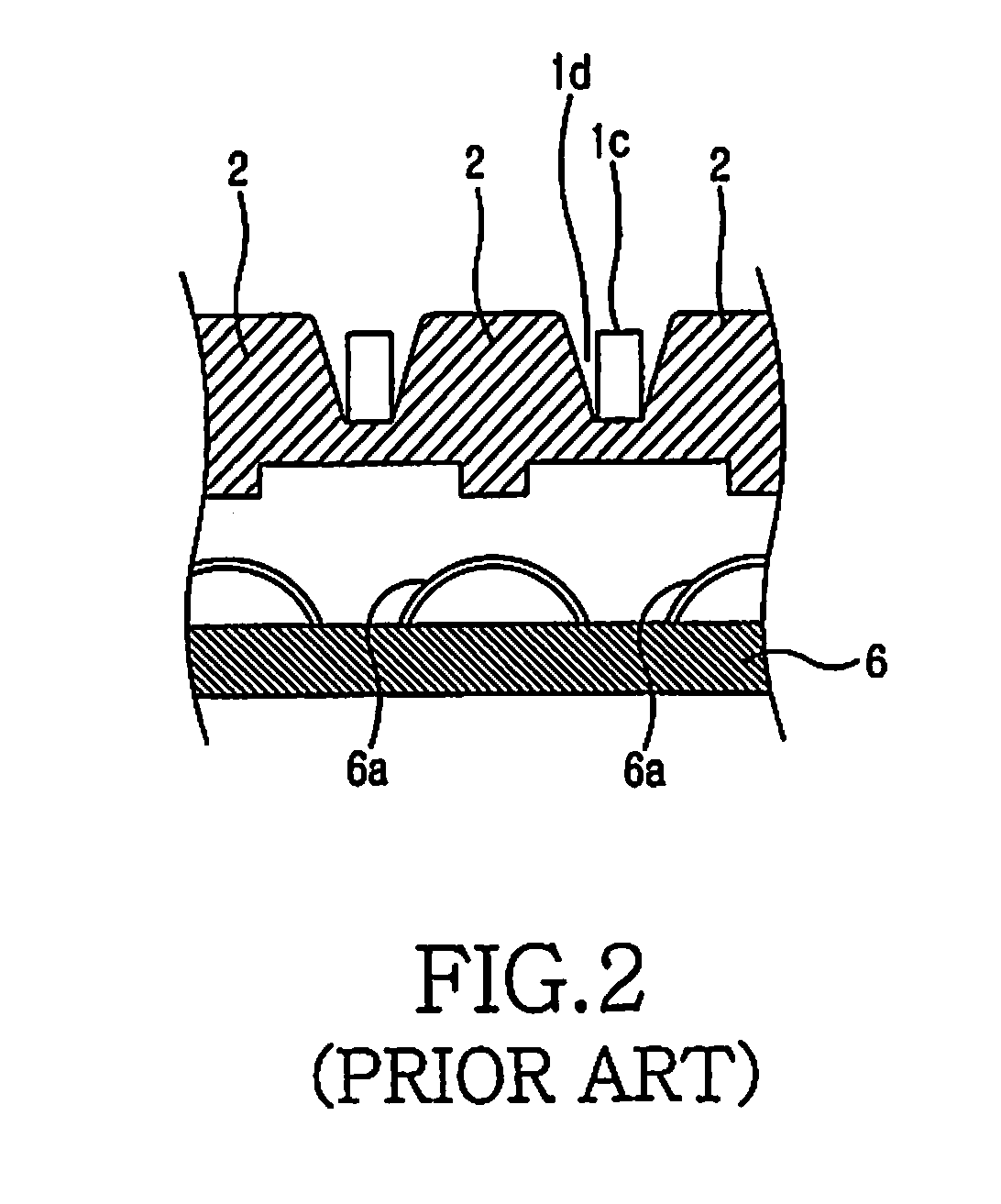 Keypad coupling apparatus for portable terminal