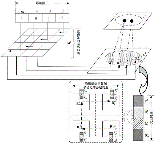 Adaptive layered neighborhood radius method for abnormal brain tissue case classification