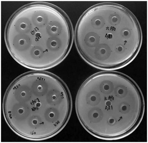 Salmonella-pollution-resistant compound feed for laying hens and additive