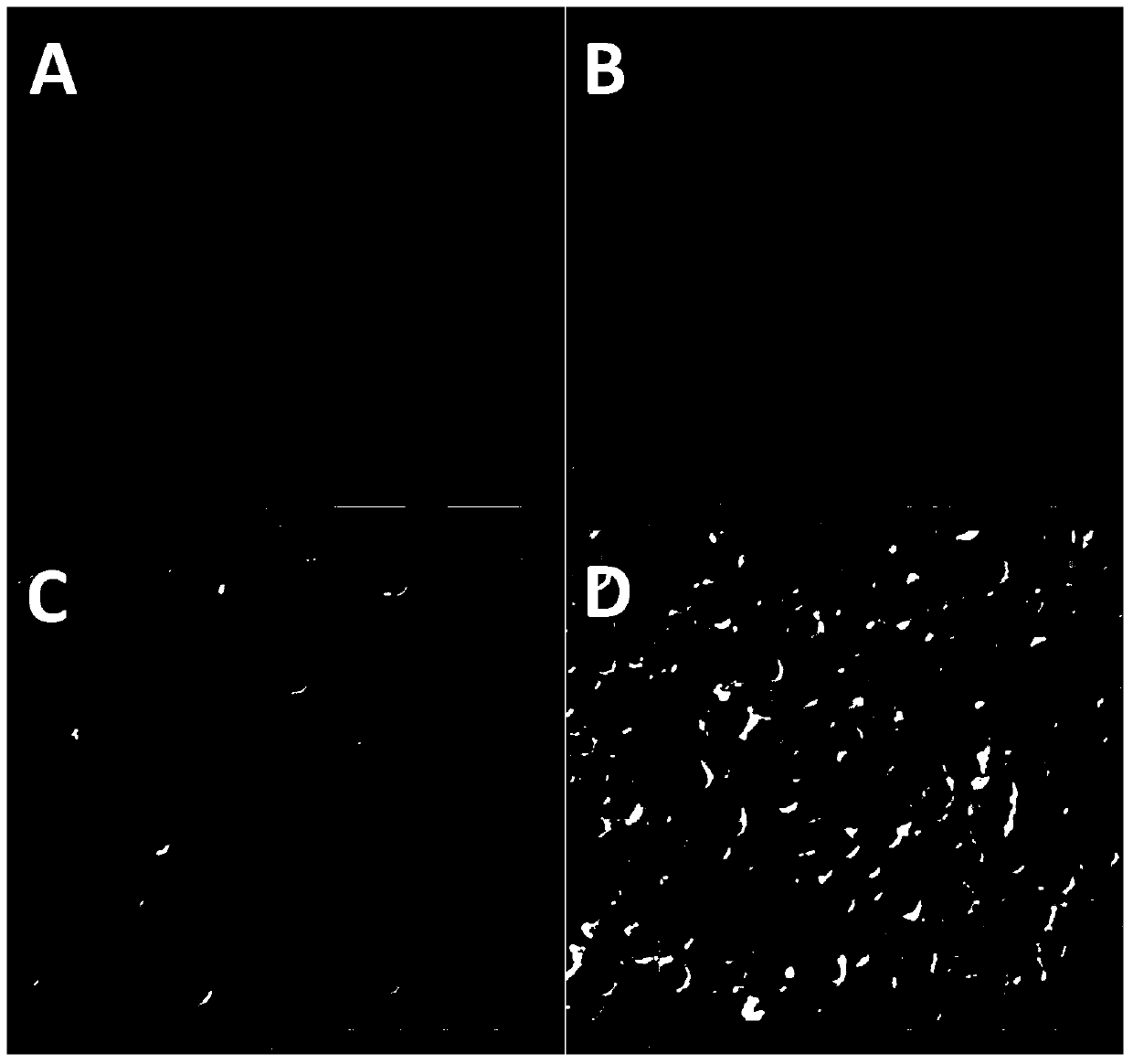 Preparation method of titanium oxide film and titanium oxide film