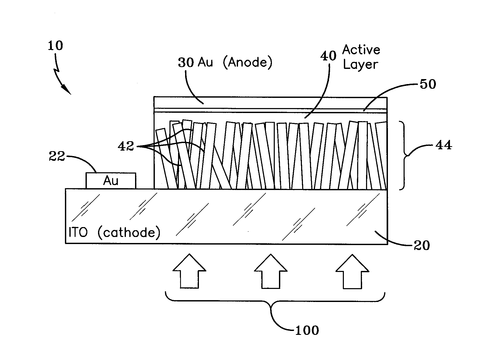 Broadband Polymer Photodetectors Using Zinc Oxide Nanowire as an Electron-Transporting Layer