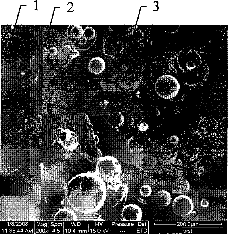 Method of preparing corrosive thermal insulation anti-ablation composite coating on light alloy surface