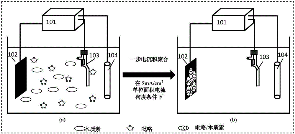 Electro-Fenton cathode material based on lignin and preparation method thereof