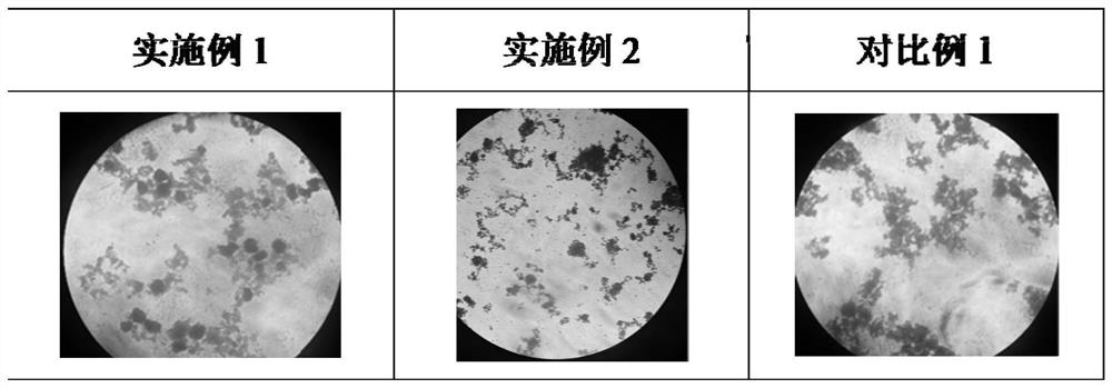 Method for solving problem of thinning of normal-temperature yoghurt in shelf life and yoghurt preparation method