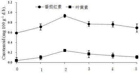 Method for increasing contents of lycopene and lutein in carrots