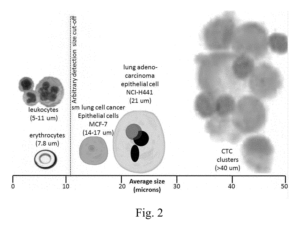 Apparatus for detecting cells in circulating bloodstream