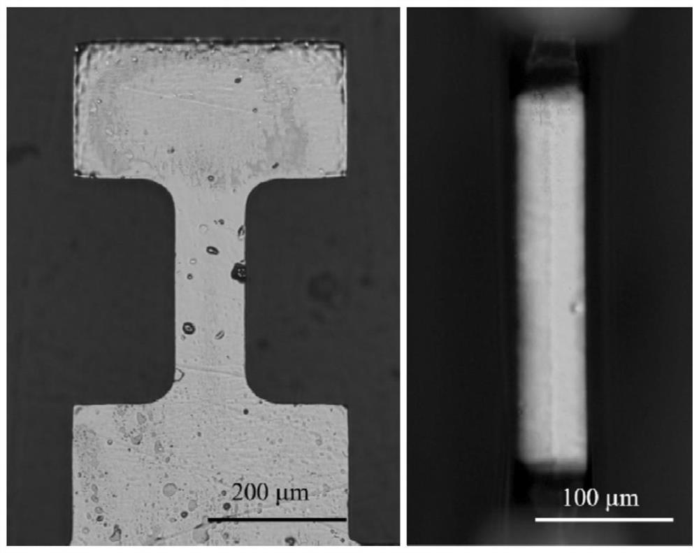 A method for preparing multi-oriented mesoscopic tensile samples based on femtosecond laser processing