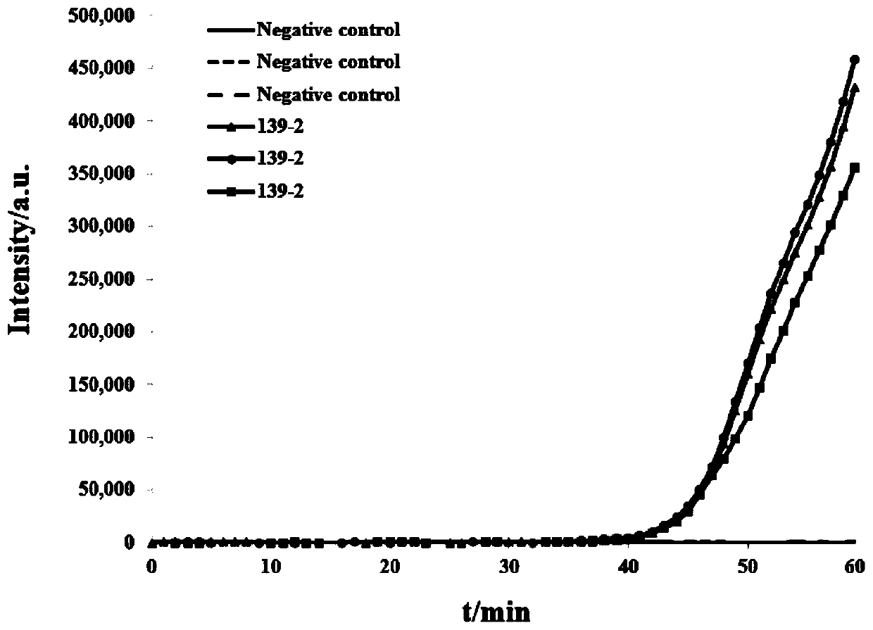 CAMP detection primer group of bacillus cereus enterotoxin gene and kit