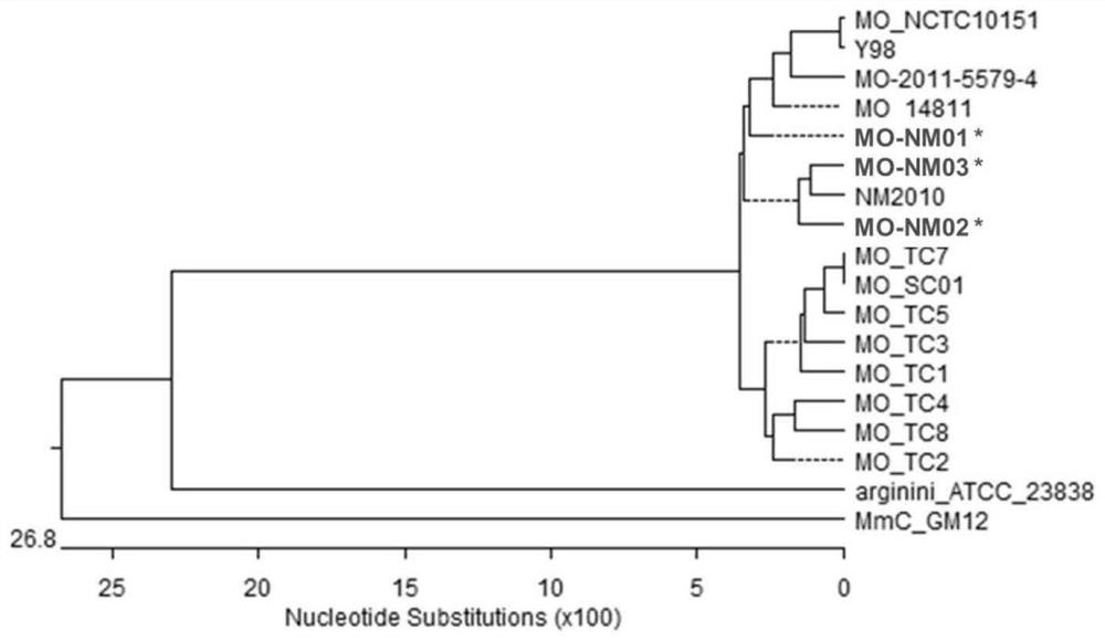 Combined strain for preparing mycoplasma ovipneumoniae vaccine, mycoplasma ovipneumoniae trivalent inactivated vaccine and preparation method of inactivated vaccine