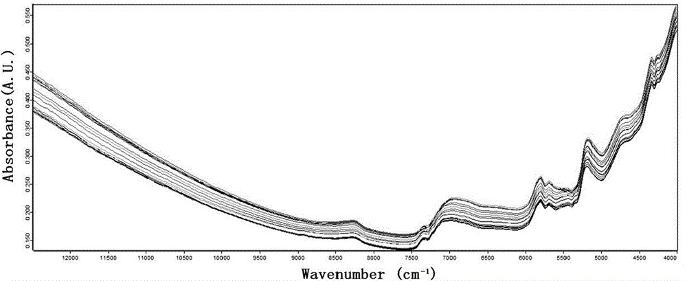 Method for rapidly and nondestructively detecting sporoderm-breaking rate of reishi shell-broken spore powder