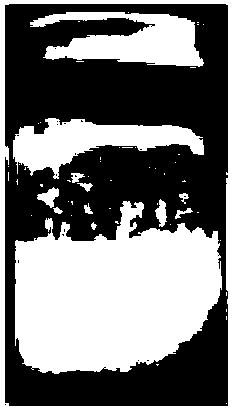 A dual-target ultrasound contrast agent and its preparation method