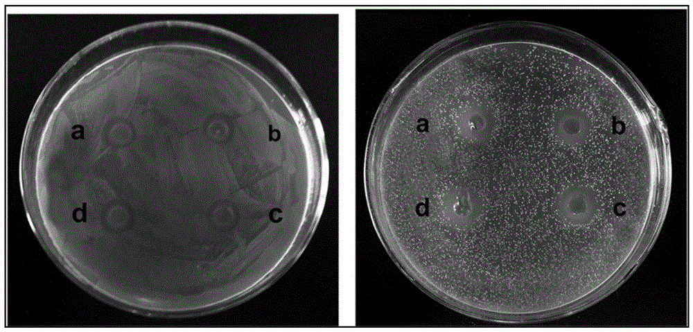 Method for strengthening mechanical property of nanofiber membrane