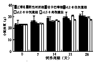 Application of recombined ganoderma lucidum immnoregulation protein (rLZ-8) in preparation of medicine for treating melanin tumor