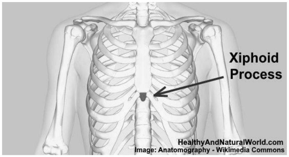 Method for fully automatically measuring lower sternum/xiphoid process in CT/MRI volume