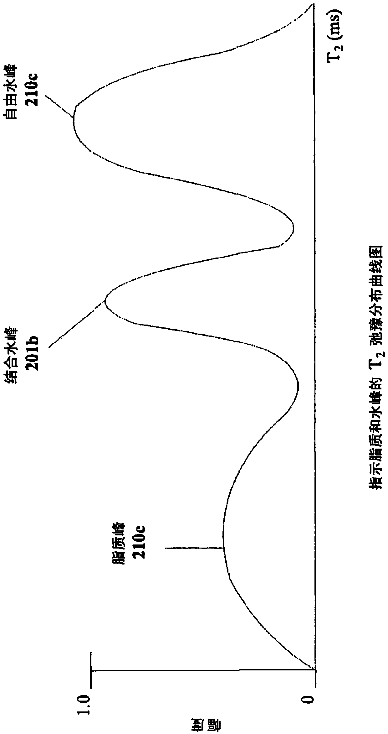 Method and system for quantifying hepatic fat in humans